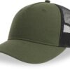 olive-black