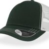 bottle-green-white