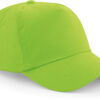 lime-green