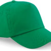 kelly-green