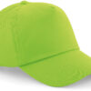 lime-green