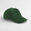 forest-green