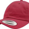 cranberry