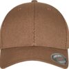 coyote-brown