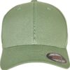 dark-leaf-green