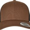 coyote-brown-black