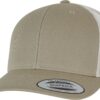 pale-khaki-birch