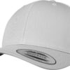 silver-white