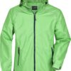 spring-green-navy
