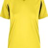 yellow-black-2