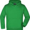 fern-green
