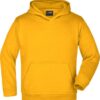 gold-yellow