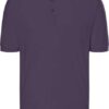 aubergine