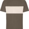 muddy-brown-sandstone