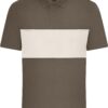 muddy-brown-sandstone