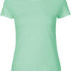 dusty-mint