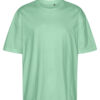 dusty-mint