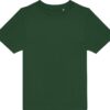 bottle-green