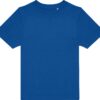 royal-blue