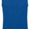 royal-blue