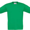 kelly-green