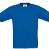 royal-blue