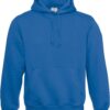 royal-blue