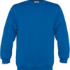 royal-blue