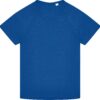 royal-blue