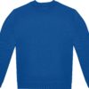 royal-blue