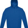 royal-blue