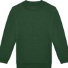 bottle-green