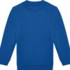 royal-blue