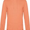 melon-orange