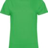 apple-green